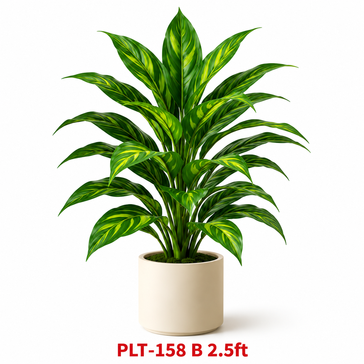 GARDENING ITEM