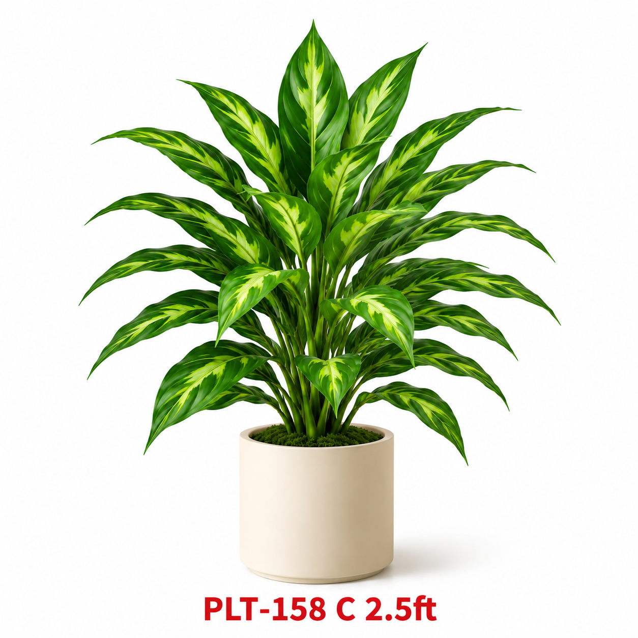 GARDENING ITEM