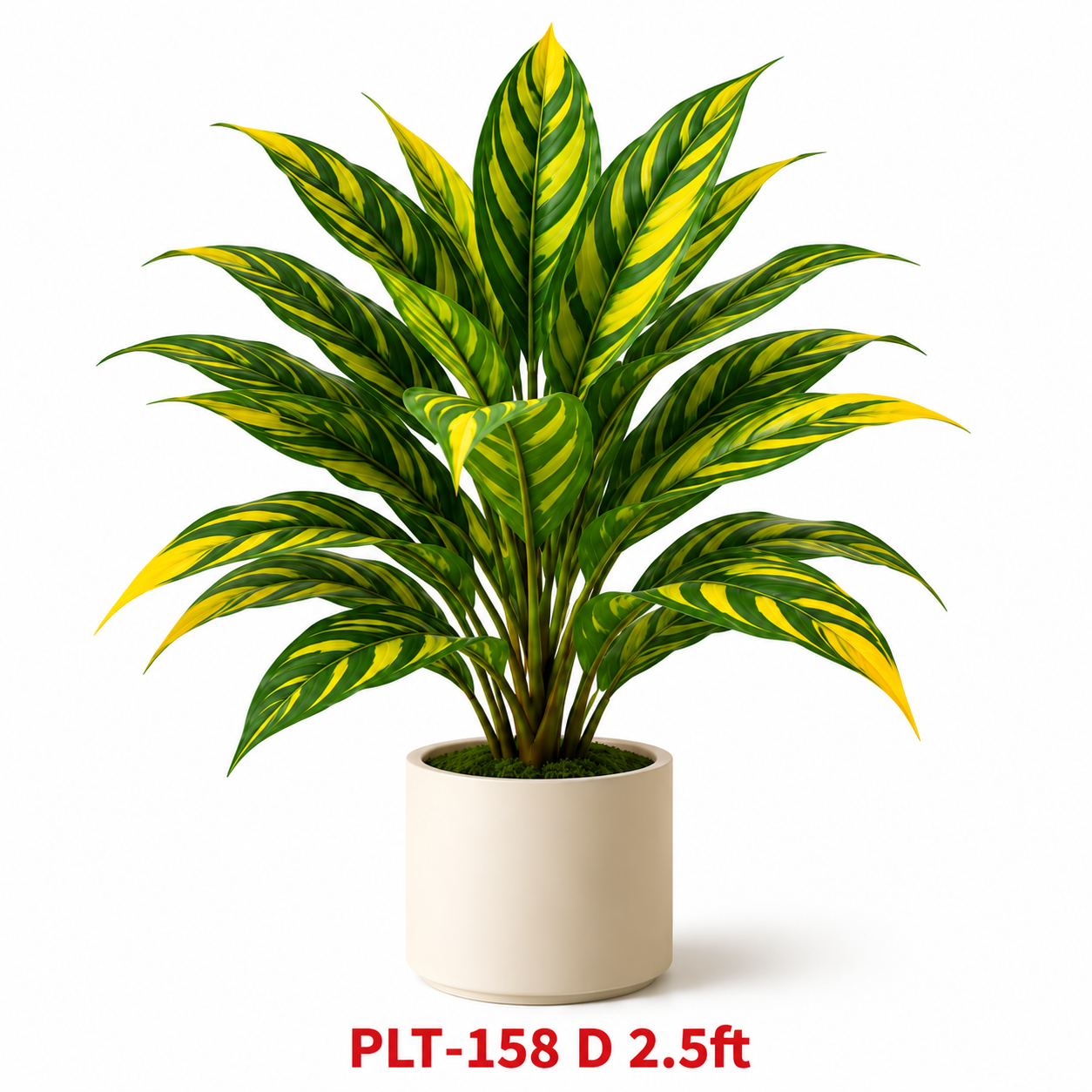 GARDENING ITEM