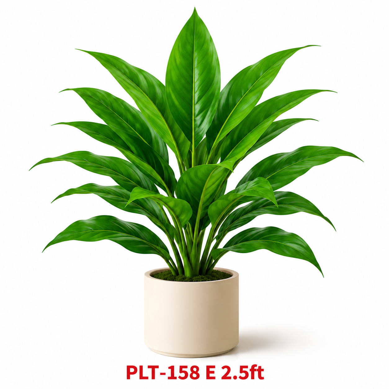 GARDENING ITEM