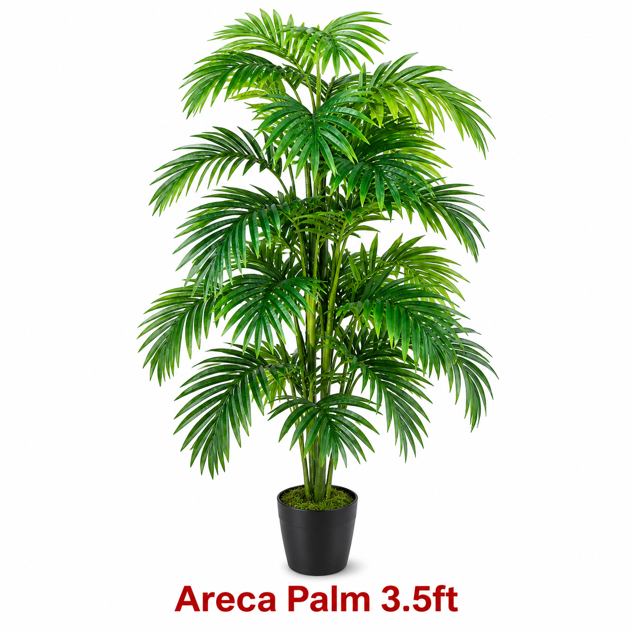 GARDENING ITEM